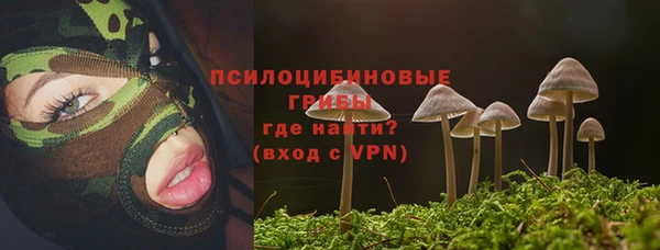 spice Алексеевка