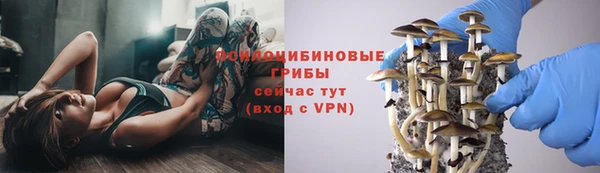 ALPHA PVP Алексин