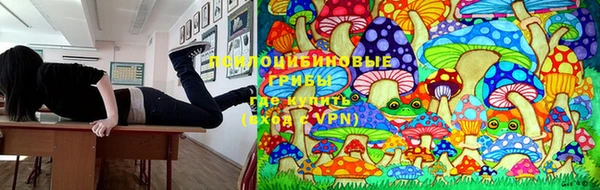 кокаин колумбия Алзамай