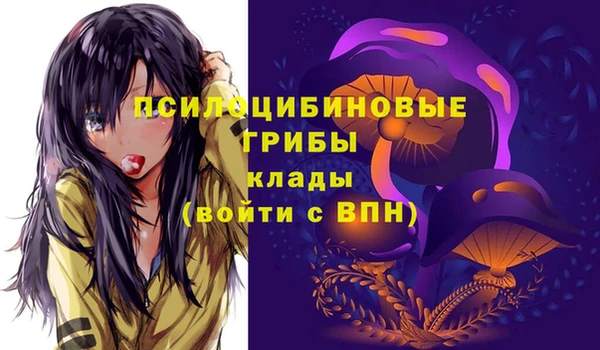 ALPHA PVP Алексин